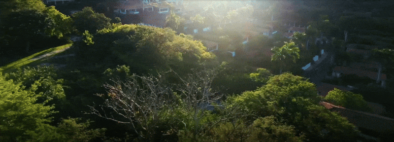 Costa Rica – nature luxuriante